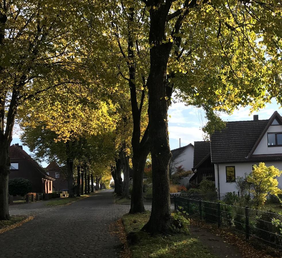 Ferienwohnung Am Holzfeld Шнефердинген Экстерьер фото